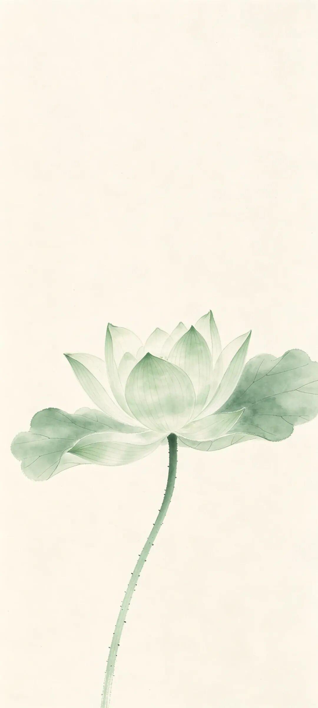 极简精选105 - 4K壁纸
