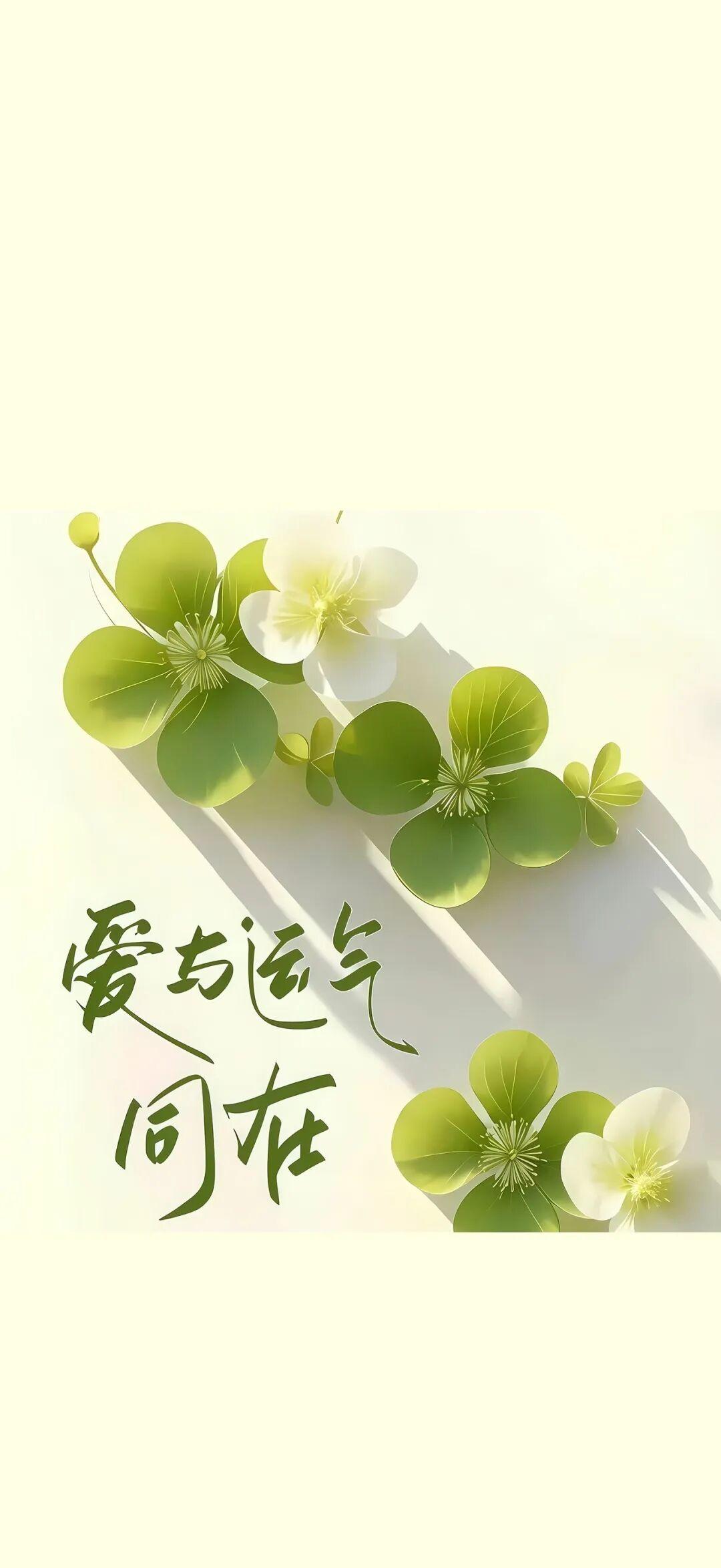 文字精选 66 - 4K壁纸
